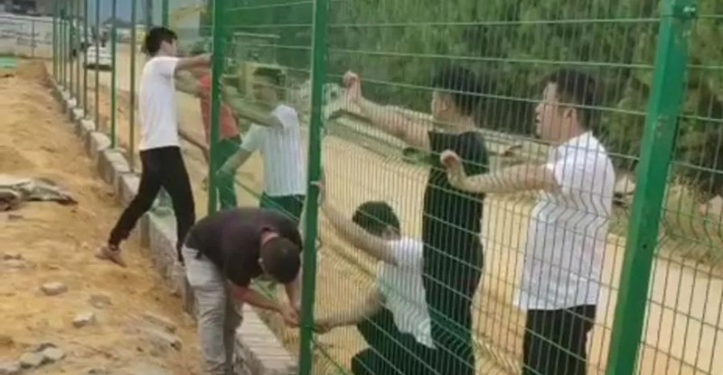 东升国际(中国区) - 官方网站